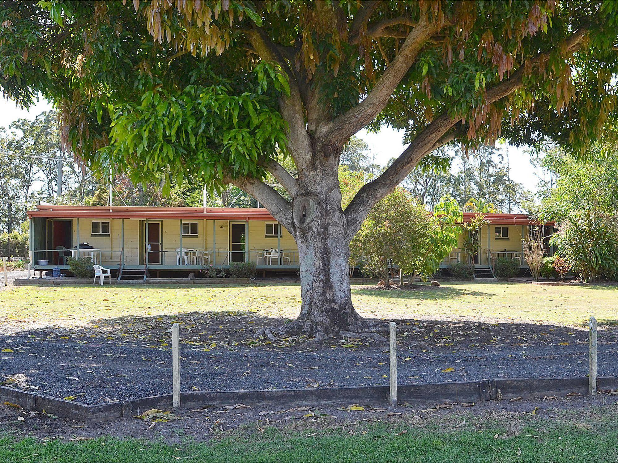 Beerwah Glasshouse Motel Εξωτερικό φωτογραφία